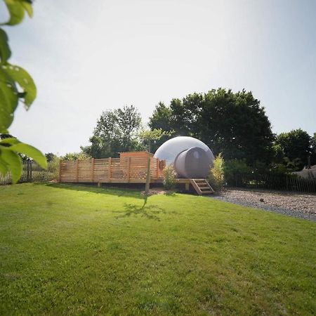 Bulles Odette & Ginette Et Tiny House Suzette "Au Guet Marais" Etape Insolite Paliseul Exterior foto