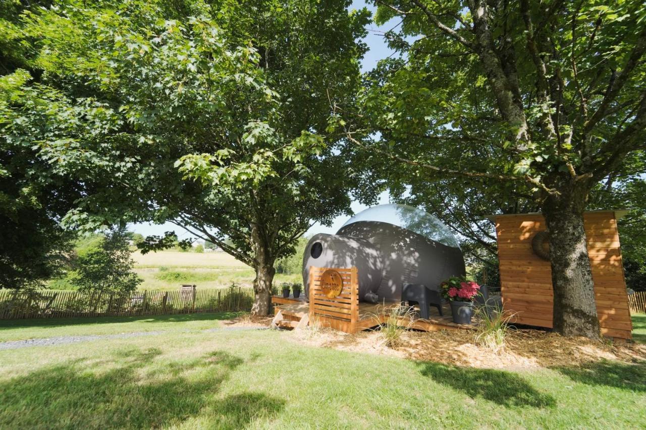 Bulles Odette & Ginette Et Tiny House Suzette "Au Guet Marais" Etape Insolite Paliseul Exterior foto
